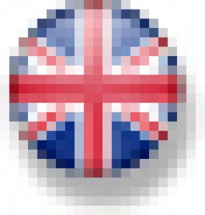 View this page in english
